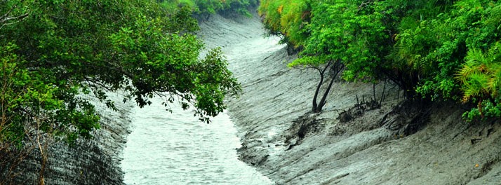 1856/Sunderban Tiger Camp - Sunderban 09.jpg